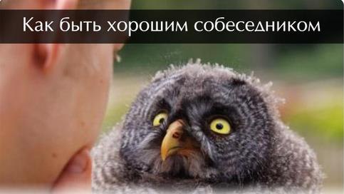 10 СПОСОБОВ СТАТЬ ХОРОШИМ СОБЕСЕДНИКОМ. 1. УМЕНИЕ СЛУШАТЬ. Эмоциональная восприимчивость так же ...