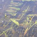 ���� ����, ������, 51 ��� - ��������� 9 ���� 2014 � ������ �������