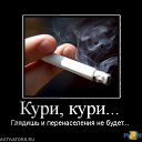 ���� ����, ������� - ��������� 15 ������ 2014 � ������ �������� �������