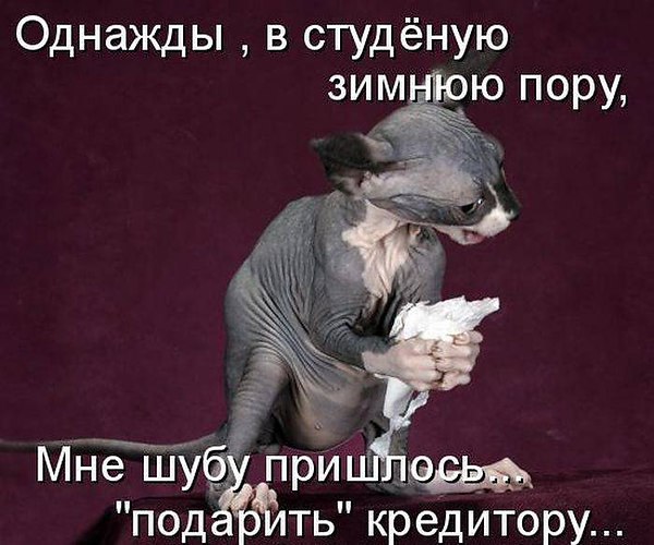 K���� K����� - 22 ���� 2014 � 21:34