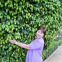 ���� ������, ������������ - ��������� 11 ������ 2014 � ������ ���� ����������