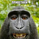 ���� �����, ��������, 54 ���� - ��������� 18 ���� 2014 � ������ ������ ��������