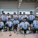 ���� �������