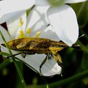 ���� �����, �����, 64 ���� - ��������� 27 ��� 2014 � ������ ������� ��������)))�