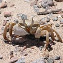 ���� R, ���� - ��������� 1 ������ 2014 � ������ ���� ����������