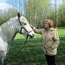 ���� ������, ������ - ��������� 7 ��� 2014 � ������ ���� ����������