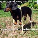 ���� ���, �����-��������� - ��������� 27 ������ 2014 � ������ ������ ��������