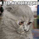 ���� ������, ���������, 47 ��� - ��������� 9 ������ 2014 � ������ ������ ��������