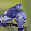 ���� �����, ������, 47 ��� - ��������� 2 ���� 2014 � ������ ������ ��������