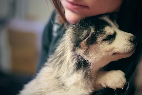       , 10-15     ,      . () F.S.