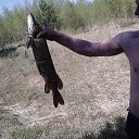 ���� �������, ����� - ��������� 28 ���� 2014 � ������ ���� ����������