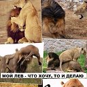 ���� �������, ������, 75 ��� - ��������� 10 ������� 2014 � ������ ������ ��������