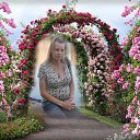 ���� ��������, ������, 43 ���� - ��������� 15 ������� 2014 � ������ ���� ����������