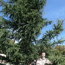 ���� ��������, ���������, 49 ��� - ��������� 7 ��� 2014 � ������ ���� ����������