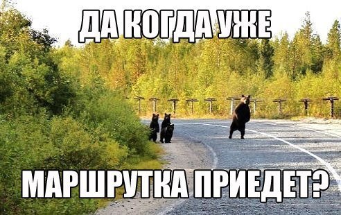  - 13  2014  21:11