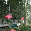  Rauza Yakubova, , 68  -  28  2014    -