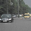 ���� ������, ���������, 42 ���� - ��������� 11 ������ 2014 � ������ �����������