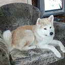 ��� � ��������? �� ������� ���� ����������