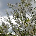 ���� Sviatlana, ���������� - ��������� 10 ��� 2014 � ������ ������