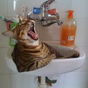 ���� �������, ����� - ��������� 29 ������ 2014 � ������ ���� ����������