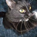 ���� �������, ������������, 37 ��� - ��������� 20 ���� 2014 � ������ ������ ��������