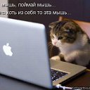 ���� ����!, ���������, 61 ��� - ��������� 22 ���� 2014 � ������ ������ ��������