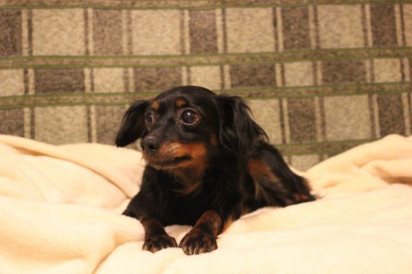   ,  (. -).      ... - 2