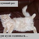 ���� �����, �����, 37 ��� - ��������� 2 ���� 2014 � ������ ������ ��������