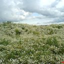 ���� Aror, �����-���������, 37 ��� - ��������� 12 ��� 2014 � ������ ���� ����������