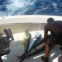 ���� ����, �������� - ��������� 14 ���� 2014 � ������ ����������