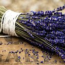 ���� Svetlana, ������ - ��������� 8 ������� 2014 � ������ ���� ����������