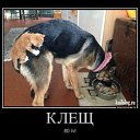 ���� ����, �������, 63 ���� - ��������� 10 ������� 2014 � ������ ������ ��������