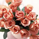 ���� ��������, �����-��������� - ��������� 24 ����� 2014 � ������ ���� ����������