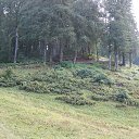 ���� �������, ������-���, 50 ��� - ��������� 21 ���� 2014 � ������ ����Ȼ