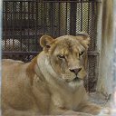  Svetlio, , 40  -  3  2014    