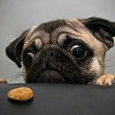 ���� ��������, ������ - ��������� 25 ���� 2014