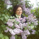 ������� � ���� ������ !!! �� ������� ���� ����������