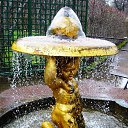 ������ ������ (����) �� ������� �������������