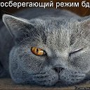 ���� Bang, �����������, 44 ���� - ��������� 28 ������ 2014 � ������ ������