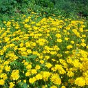 ���� ����, ��������, 54 ���� - ��������� 7 ������ 2014 � ������ �1�