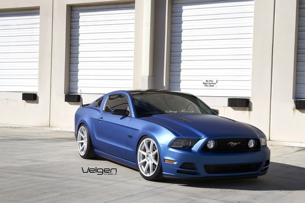 Matte Blue Ford Mustang 5.0