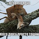 ���� Xpert, �����-��������� - ��������� 7 ���� 2014