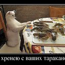 ���� ������, ��������������, 52 ���� - ��������� 9 ���� 2014 � ������ ��������������