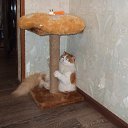 ��� �� ������� �� ������
 �� ������� ���� ����������