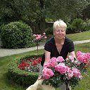 ���� �����, ����������� - ��������� 31 ��� 2014 � ������ ���� ����������