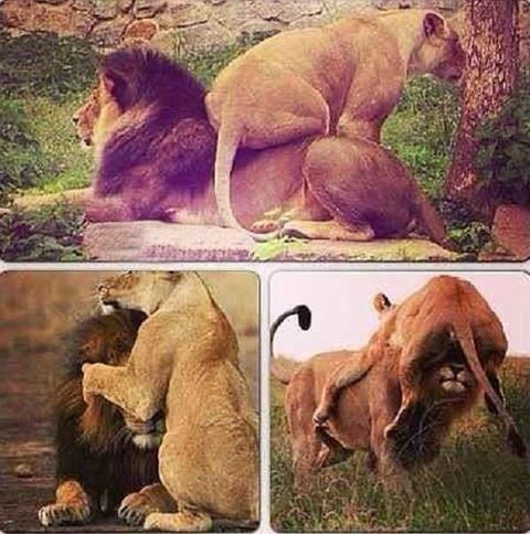 �������...