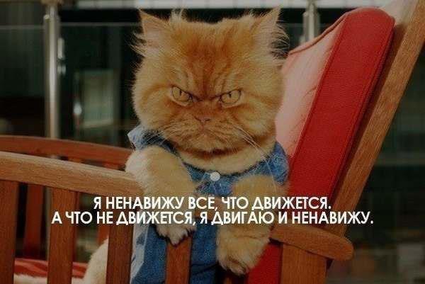  - 21  2014  20:11