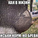 ���� ��������, ����, 56 ��� - ��������� 15 ��� 2014 � ������ ���� ����������