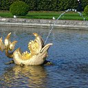 ���������-������� ����� �� ������� �������������