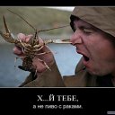 ���� ������, �����, 34 ���� - ��������� 4 ������� 2014 � ������ ������ ��������